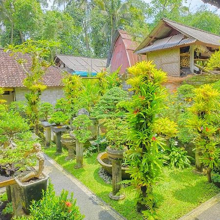 Appartement Rumah Keluarga Bali à Ubud Extérieur photo